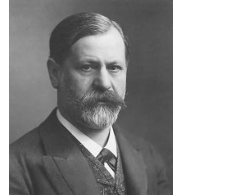 Freud un saggio un eroe