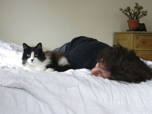 Un gatto per amico