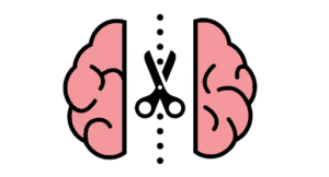 Cervello diviso ma unica coscienza